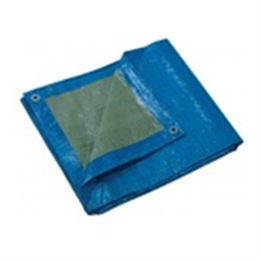 BACHE PROTECTION 2X3ML